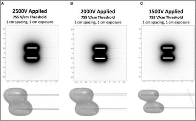 Treatment of Infiltrative Superficial Tumors in Awake Standing Horses Using Novel High-Frequency Pulsed Electrical Fields